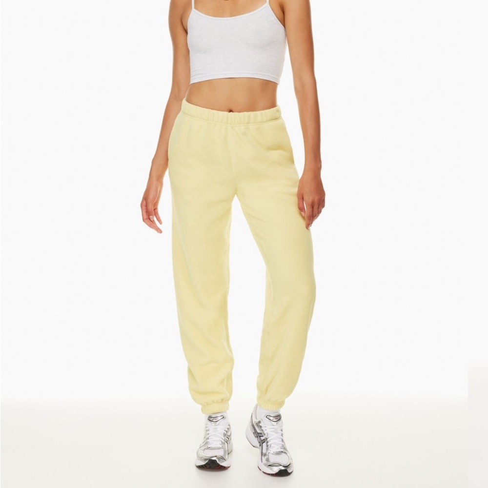 NWT Aritzia Joggers